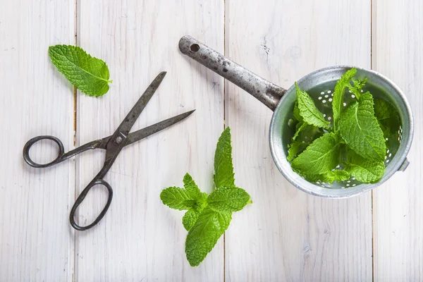 Fresh mint leaves in an old drainer — Stock Photo, Image