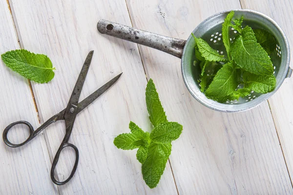 Foglie di menta fresca in un vecchio sgocciolatoio — Foto Stock