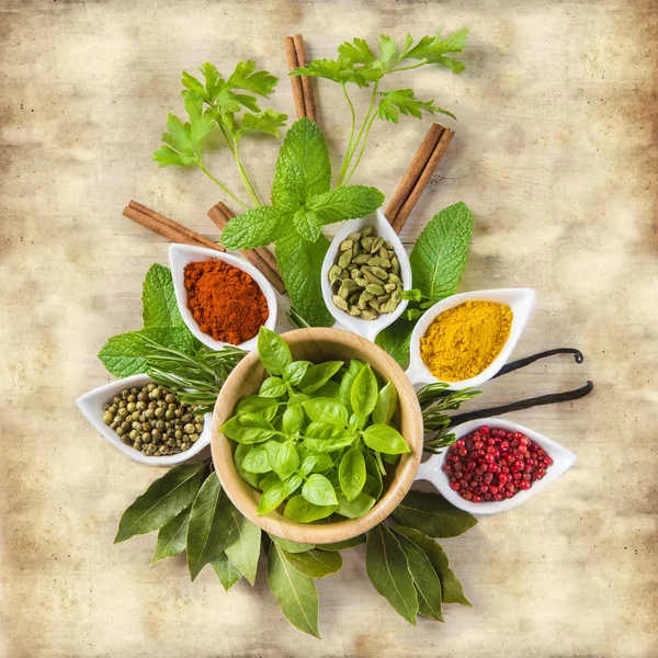 Fresh herbs and spices on a vintage  background — Stock Photo, Image
