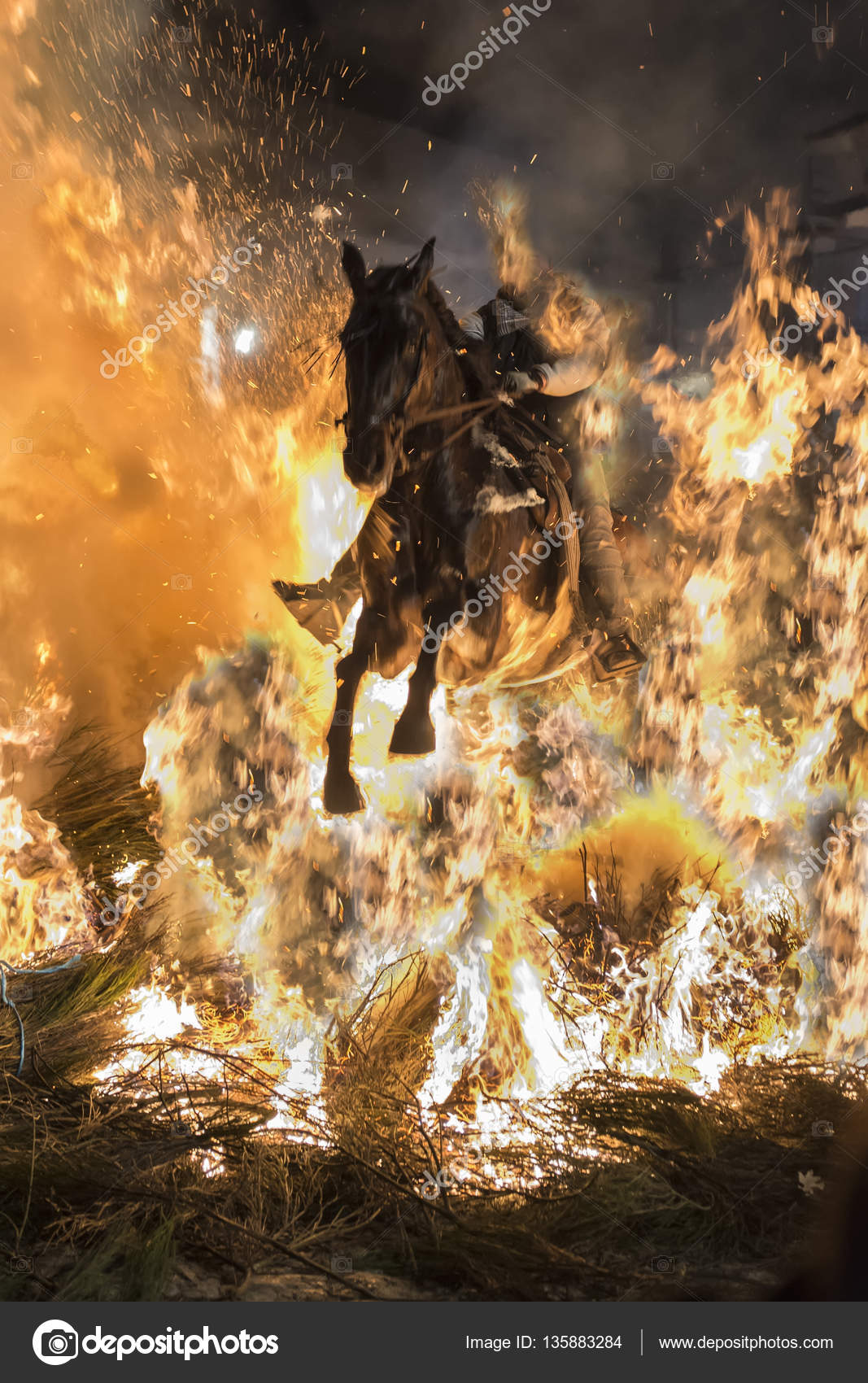 Fotos de Cavalo pulando, Imagens de Cavalo pulando sem royalties