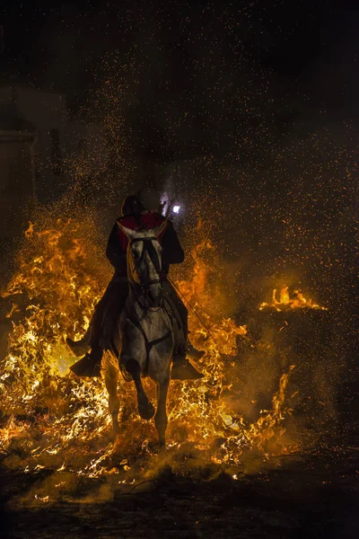 一个人骑他的马跳通过火 — 图库照片