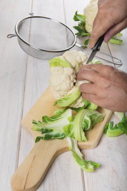 Hazırlama ve karnabahar temizlik Şef