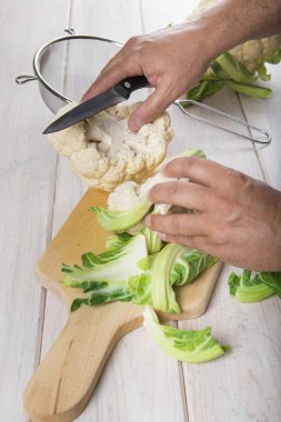 Hazırlama ve karnabahar temizlik Şef