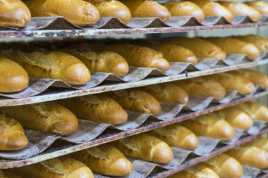 Somun ve fırından yeni çıkmış baget