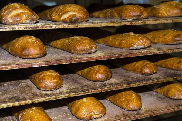 Pani e baguette appena sfornati — Foto Stock