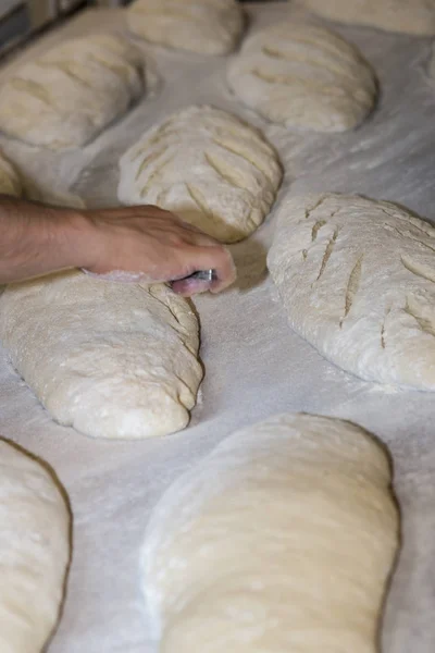Baker preparing and cutting raw loaves to bake in the oven — Stock Photo, Image
