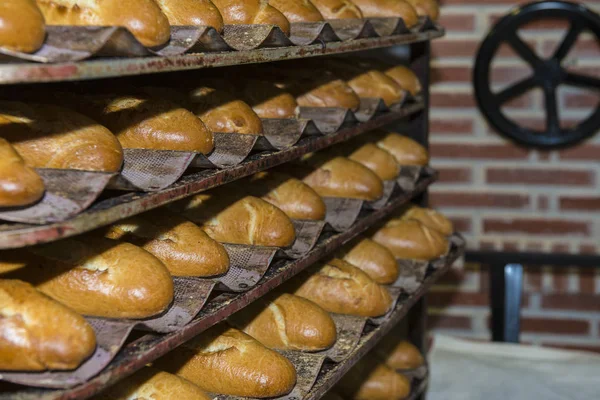 Pani e baguette appena sfornati — Foto Stock