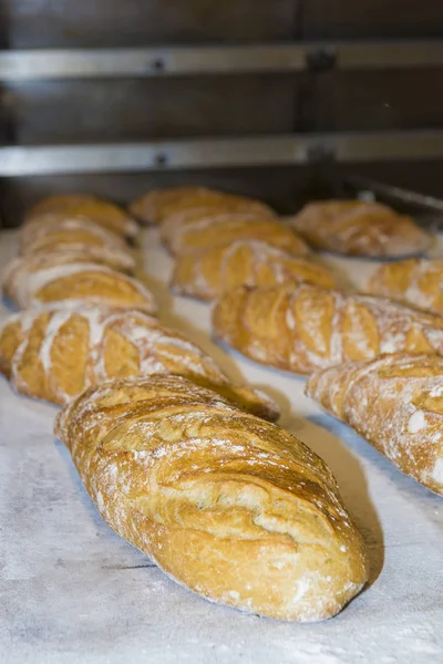 Loaves and baguettes freshly baked — Stock Photo, Image