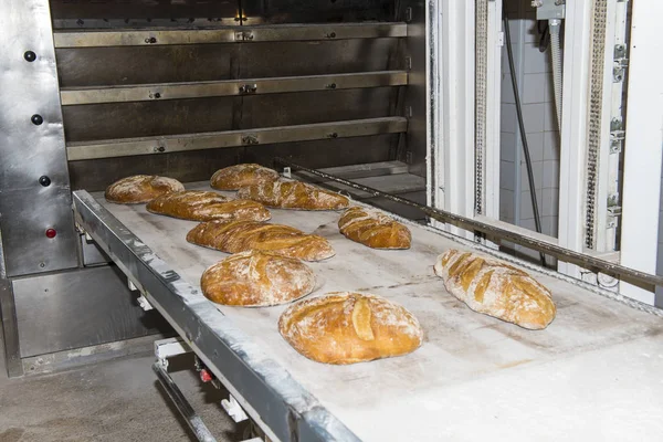Bread loaves coming out of an industrial oven — Stock Photo, Image