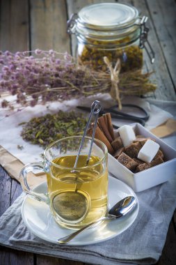 Mentha pulegium veya Yarpuz çay ve papatya çiçek