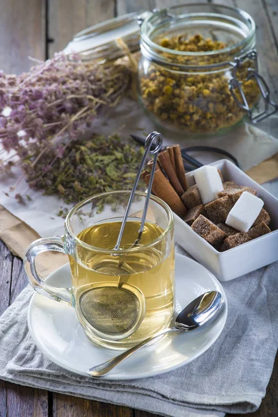 Mentha pulegium or pennyroyal tea and chamomile flowers — Stock Photo, Image