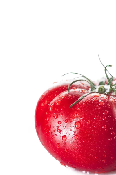 Свежие помидоры изолированы на белом фоне — стоковое фото