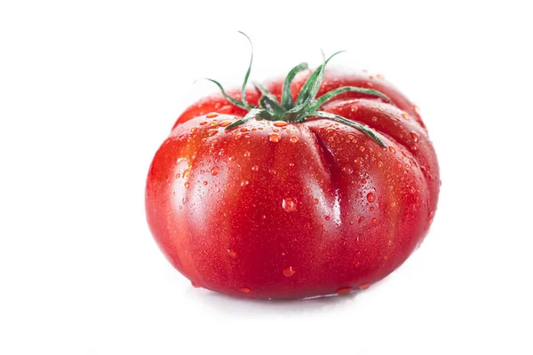 Frische Tomaten isoliert auf weißem Hintergrund — Stockfoto