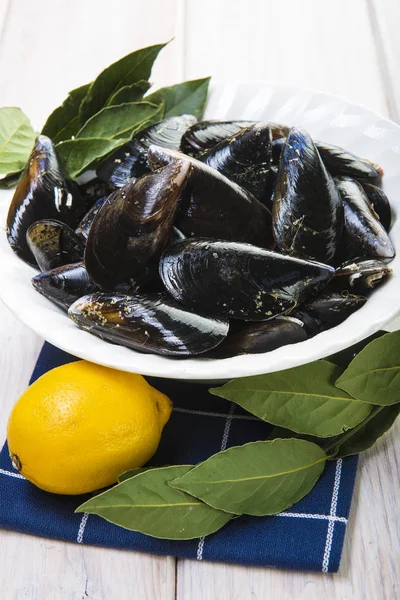 Fresh and alive mussels for cooking — Stock Photo, Image