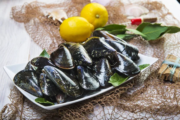 Fresh and alive mussels for cooking — Stock Photo, Image