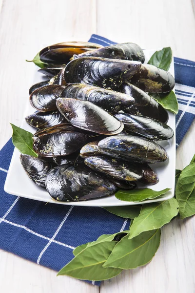 Fresh and alive mussels for cooking — Stock Photo, Image