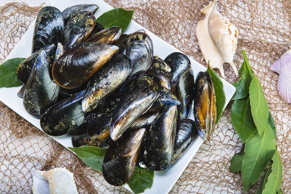 Cozze fresche e vive per la cottura — Foto Stock