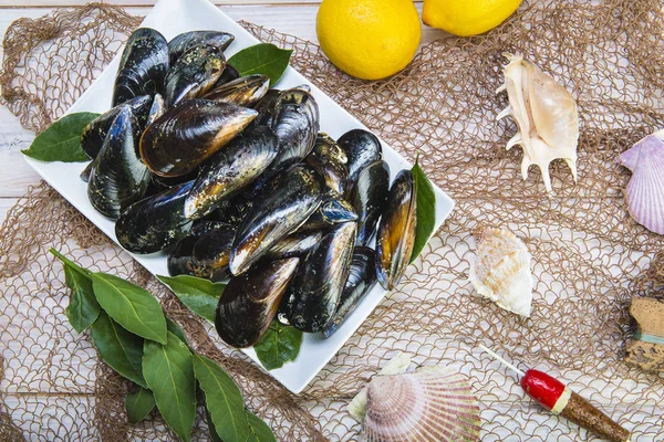 Fresh and alive mussels for cooking — Stock Photo, Image