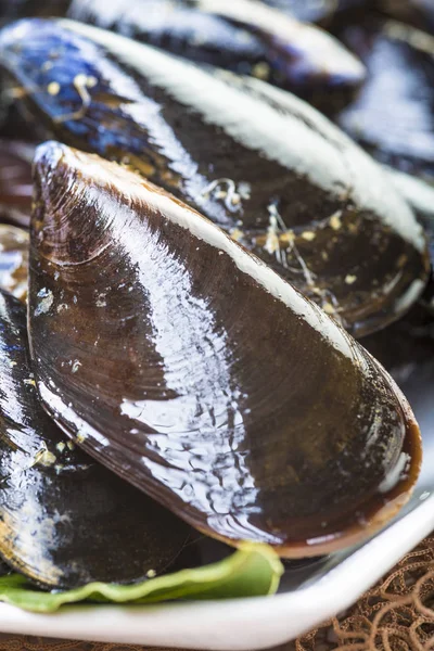 신선 하 고 살아있는 홍합 요리 — 스톡 사진