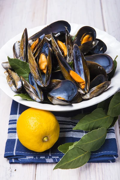 Cozze al vapore — Foto Stock