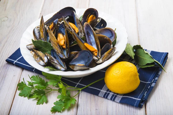 Steamed mussels — Stock Photo, Image