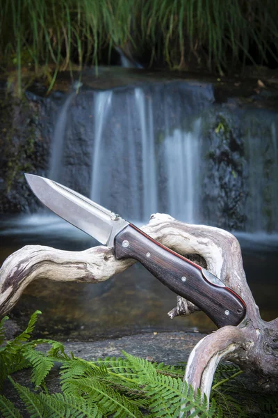 Нож для кустарников и выживание в дикой природе — стоковое фото