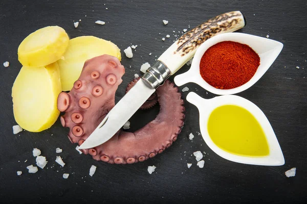 Cooked Octopus Slate Plate Decorated Wit Spices — Stock Photo, Image