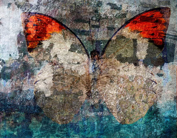 Grunge Texture de fond papillon — Photo