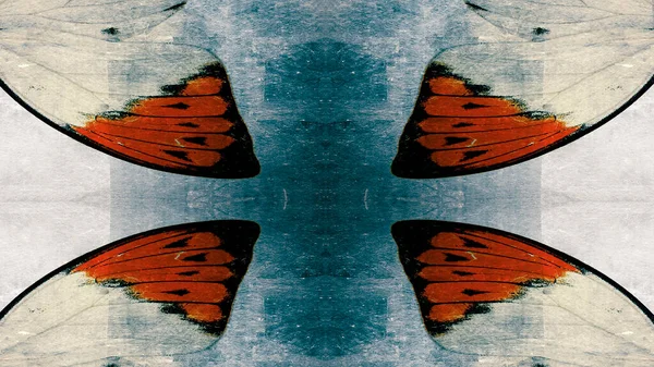 Grunge Textura Fondo Mariposa — Foto de Stock