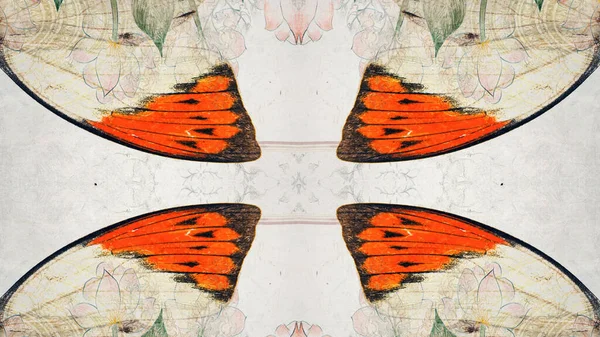Grunge Butterfly Hintergrundtextur — Stockfoto