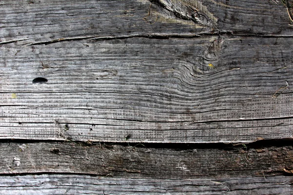 Gray wood texture. Abstract background, texture, — Stock Photo, Image