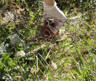 çevre eylemcileri çöp toplama