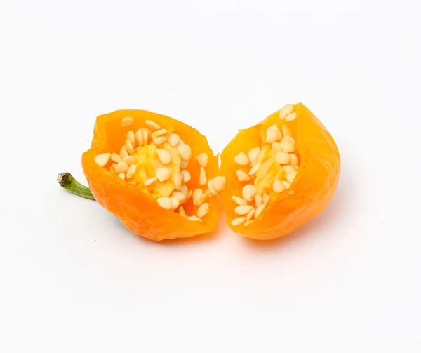 Small chili bell paprika on white background — Stock Photo, Image