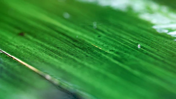 Concepto de lluvia o waterdrops.season — Foto de Stock