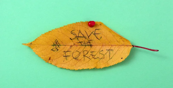 Autumn walnut leaves with handwritten text — Stock Photo, Image