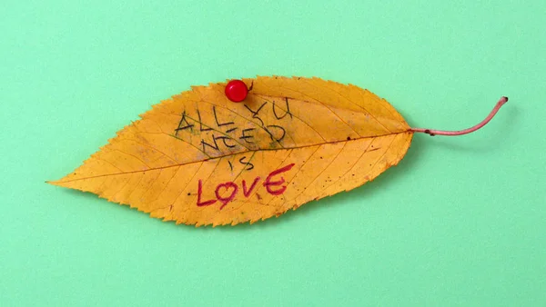 Autumn walnut leaves with handwritten text — Stock Photo, Image