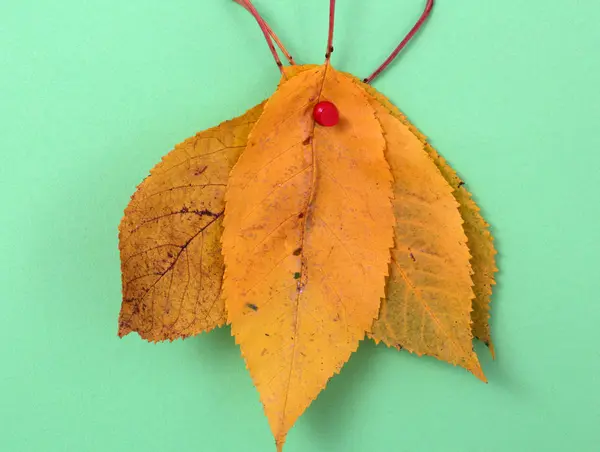 Foglie di noce autunnale con testo scritto a mano — Foto Stock