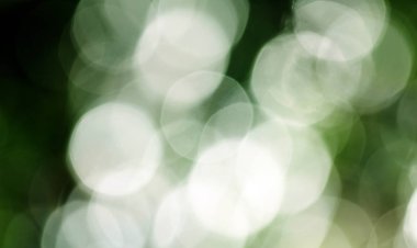 soyut dairesel yeşil bokeh arkaplanı.