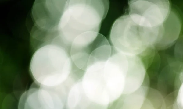 Abstrato circular fundo bokeh verde. — Fotografia de Stock