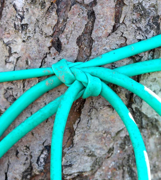 Пластикові мотузки макросу — стокове фото