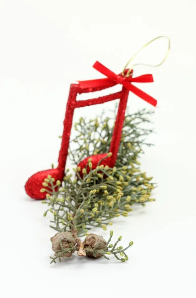 Cristmas notes de musique décoration sur une branche d'arbre — Photo