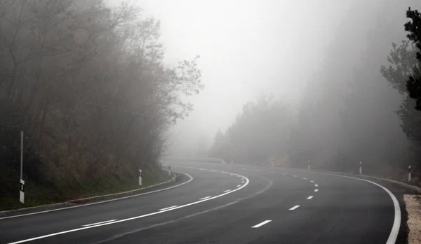 Sisin içindeki yol. — Stok fotoğraf