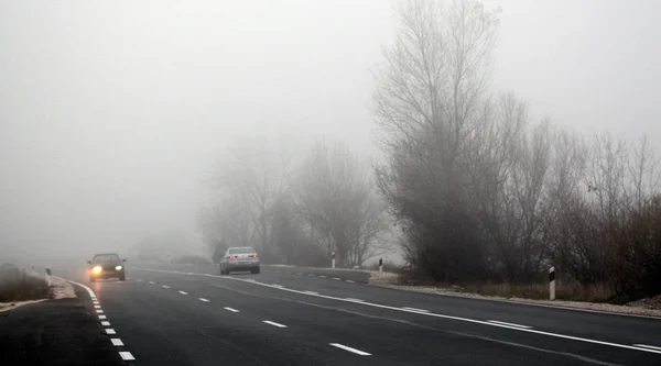 Sisin içindeki yol. — Stok fotoğraf