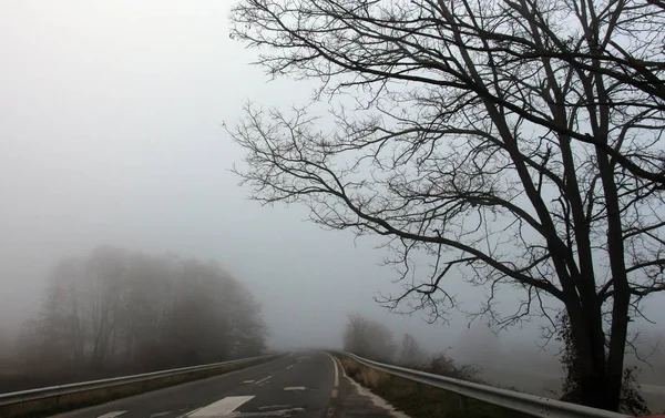 Sisin içindeki yol. — Stok fotoğraf