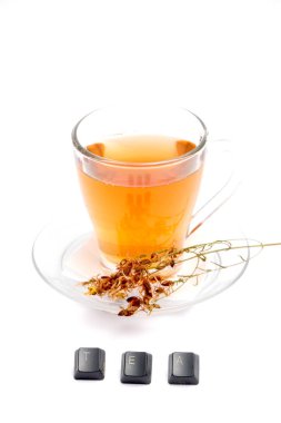 St John's wort çay beyaz arka plan üzerinde