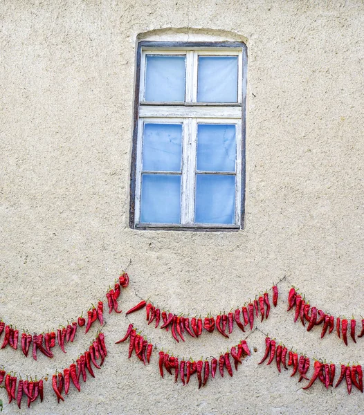 Paprika au chili rouge séchant sur un mur — Photo