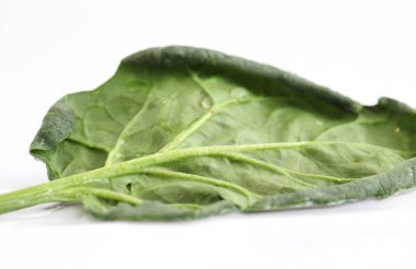 Beyaz arka plan üzerinde taze organik ıspanak