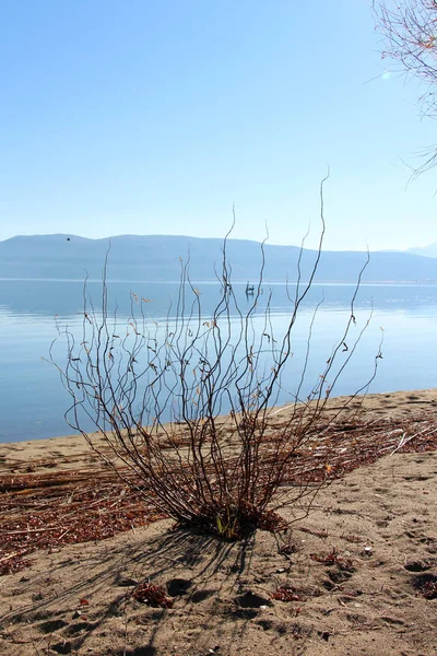Prespanské jezero v Makedonii v zimě — Stock fotografie