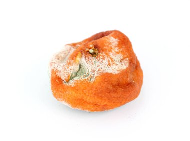 çürük portakal narenciye