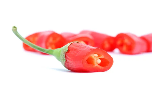 RÖD HOT CHILLI PEPPER — Stockfoto